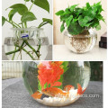 China Goldfish Bowl Desktop Transparent Plastic Aquarium Round Factory